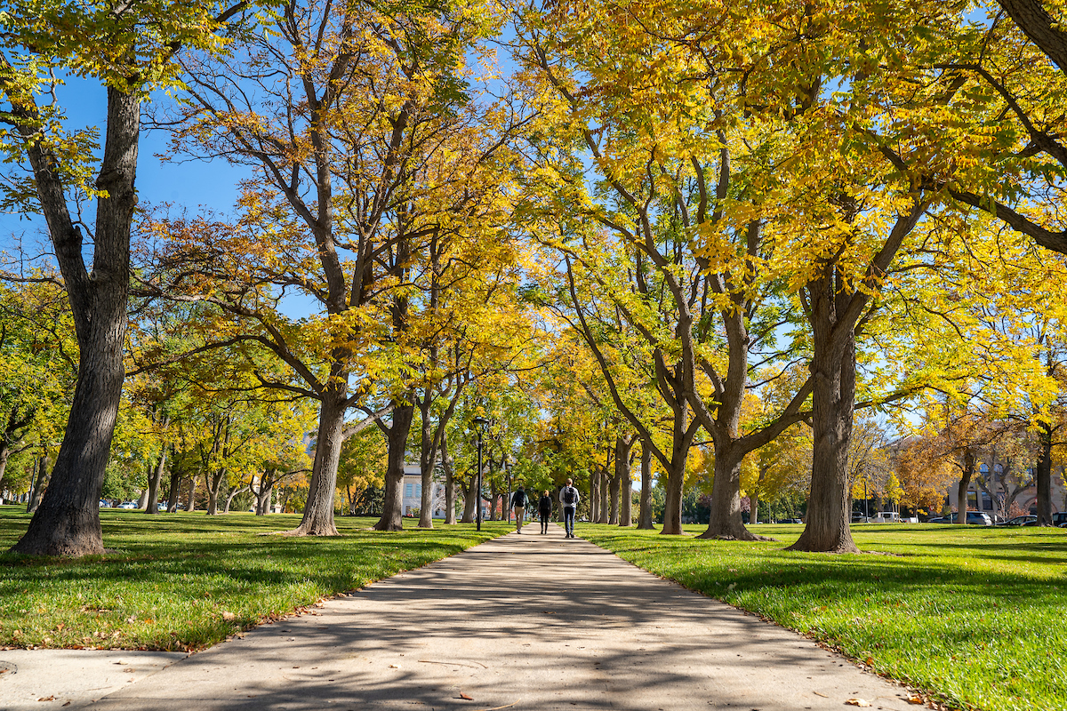 a sidewalk on the University of Utah campus, lined by trees with fall foligage